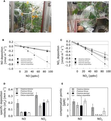 Improving Air Quality by Nitric Oxide Consumption of Climate-Resilient Trees Suitable for Urban Greening